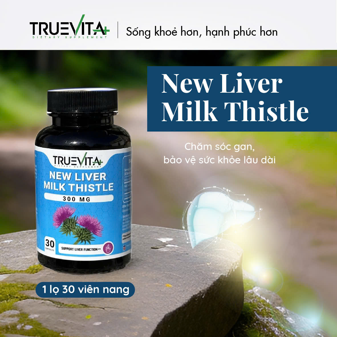 NEW LIVER MILK THISTLE